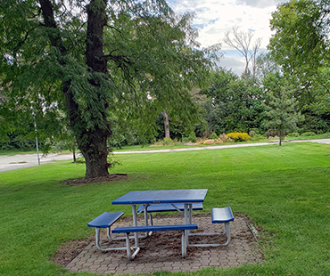 picnic area